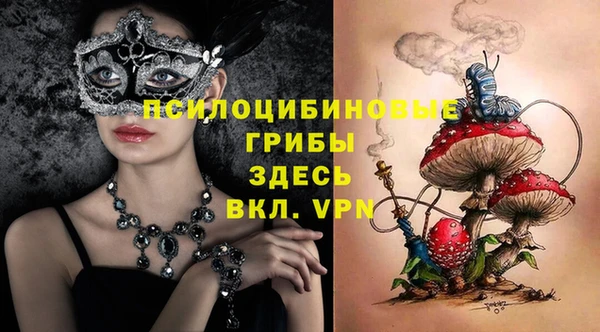 молекула духа Сосновоборск