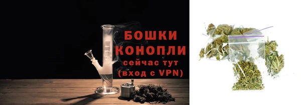 молекула духа Сосновоборск