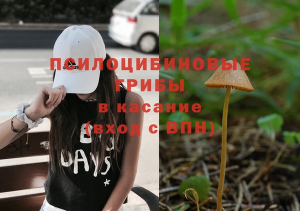 молекула духа Сосновоборск