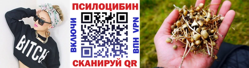 Галлюциногенные грибы Psilocybine cubensis  Северобайкальск 